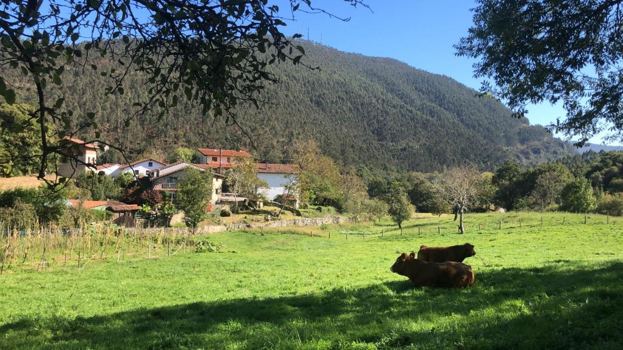 La Galayca Appartement El Barcenal Buitenkant foto